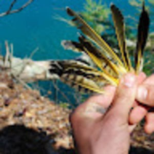 Meet your Posher, Melody